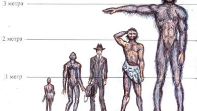 Photo of Исторические свидетельства о костях и скелетах великанов