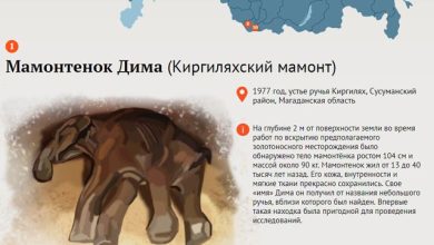 Photo of Исторические находки и археологические открытия